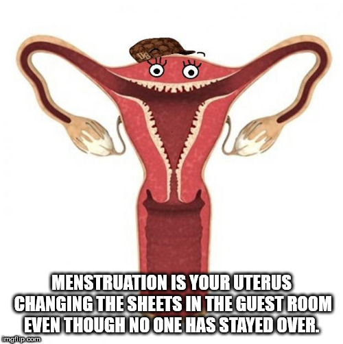 Menstruation Is Your Uterus Changing The Sheets In The Guestroom Even Though No One Has Stayed Over imgflip.com