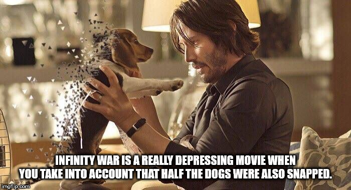 john wick 3 thanos - Infinity War Is A Really Depressing Movie When You Take Into Account That Half The Dogs Were Also Snapped. imgflip.com