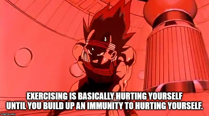 dragon ball z training - Exercising Is Basically Hurting Yourself Until You Build Up An Immunity To Hurting Yourself. imgflip.com