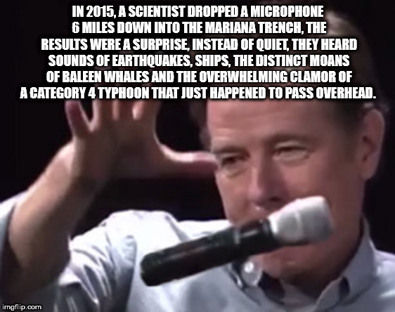 boom mic drop meme - In 2015, A Scientist Dropped A Microphone 6 Miles Down Into The Mariana Trench, The Results Were A Surprise, Instead Of Quiet, They Heard Sounds Of Earthquakes, Ships, The Distinct Moans Of Baleen Whales And The Overwhelming Clamor Of