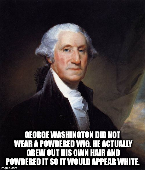 george washington - George Washington Did Not Wear A Powdered Wig. He Actually Grew Out His Own Hair And Powdered It So It Would Appear White imgflip.com