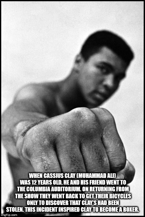 muhammad ali fist - When Cassius Clay Muhammad Ali Was 12 Years Old, He And His Friend Went To The Columbia Auditorium On Returning From The Show They Went Back To Get Their Bicycles Only To Discover That Clay'S Had Been Stolen. This Incident Inspired Cla