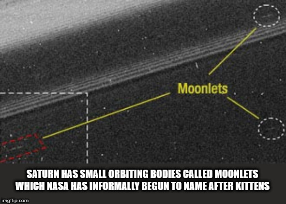 asphalt - Moonlets Saturn Has Small Orbiting Bodies Called Moonlets Which Nasa Has Informally Begun To Name After Kittens imgflip.com