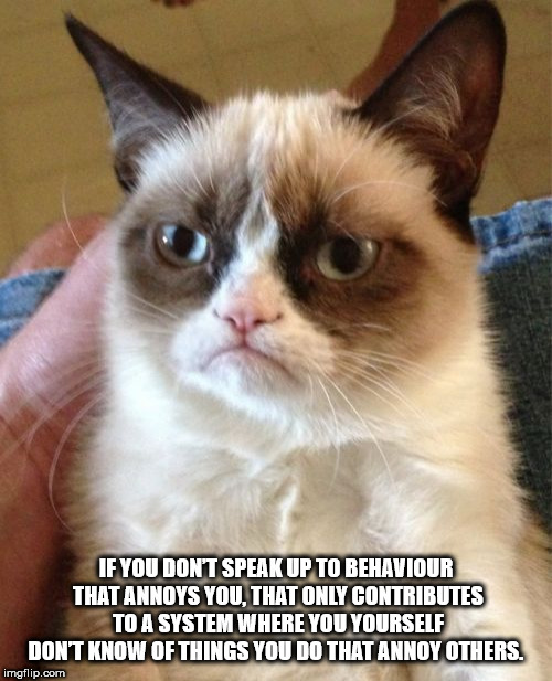 shower thought grumpy cat meme - If You Don'T Speak Up To Behaviour That Annoys You. That Only Contributes To A System Where You Yourself Don'T Know Of Things You Do That Annoy Others. imgflip.com