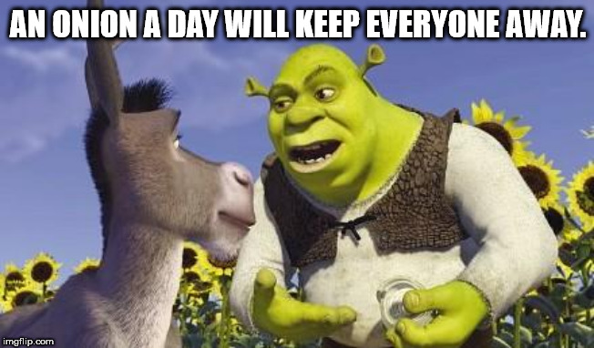 shower thought shrek and donkey - An Onion A Day Will Keep Everyone Away. imgflip.com