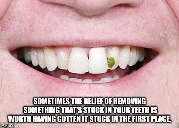 shower thought food stuck in teeth - Sometimes The Relef Of Removing Something That'S Stuck In Your Teethis Worth Having Gotten It Stuck In The First Place. imgflip.com