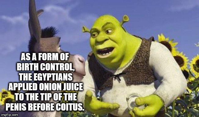 shrek and donkey - As A Form Of Birth Control The Egyptians Applied Onion Juice To The Tip Of The Penis Before Coitus. imgflip.com