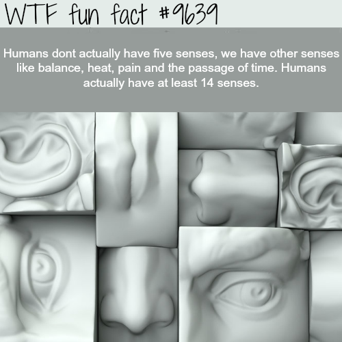 Random Facts