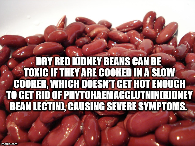 copper beans - Dry Red Kidney Beans Can Be Toxic If They Are Cooked In A Slow Cooker, Which Doesn'T Get Hot Enough To Get Rid Of Phytohaemagglutninckidney Bean Lectin, Causing Severe Symptoms. imgflip.com