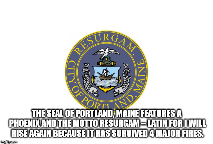 organization - Surga Am Rest City M T And. The Seal Of Portland, Maine Features A Phoenix And The Motto ResurgamLatin For I Will Rise Again Because It Has Survived 4 Major Fires. imgflip.com