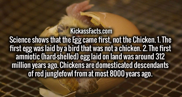 40 fun facts that are no prank