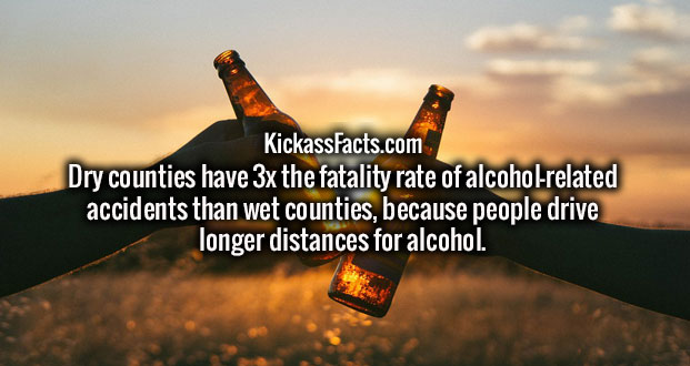 40 fun facts that are no prank