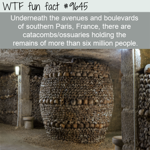 40 fun facts that are no prank