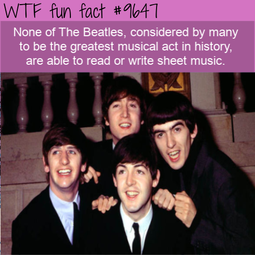 40 fun facts that are no prank