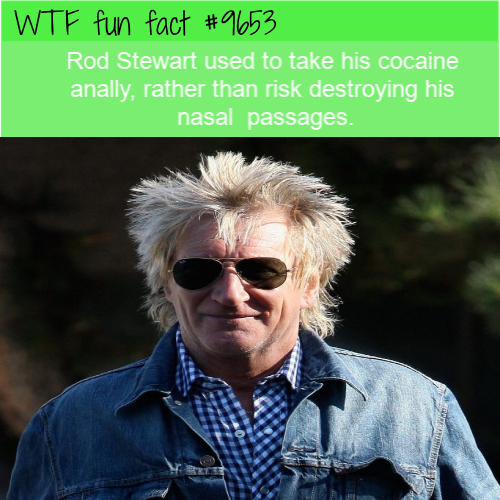photo caption - Wtf fun fact Rod Stewart used to take his cocaine anally, rather than risk destroying his nasal passages.