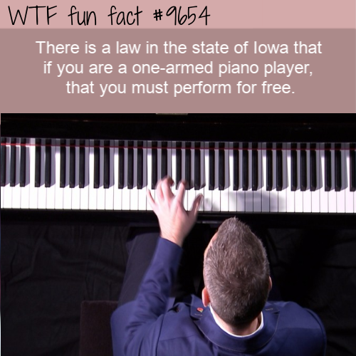 player piano - Wtf fun fact There is a law in the state of lowa that if you are a onearmed piano player, that you must perform for free.
