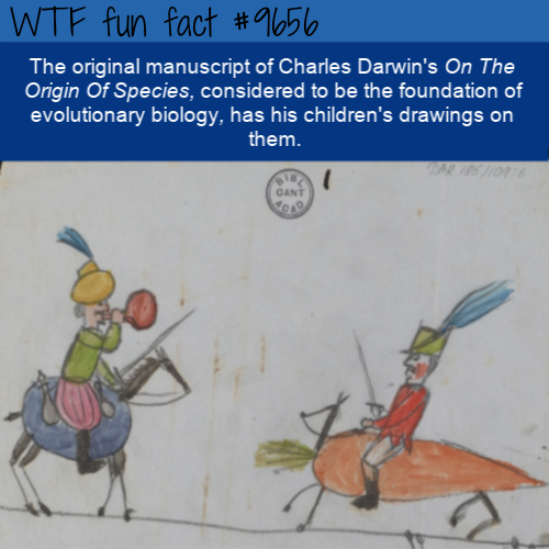 darwin vegetable soldiers - Wtf fun fact The original manuscript of Charles Darwin's On The Origin Of Species, considered to be the foundation of evolutionary biology, has his children's drawings on them.