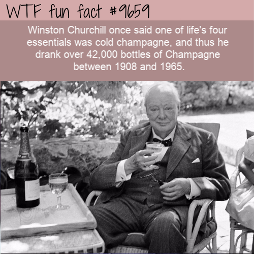 churchill champagne - Wtf fun fact Winston Churchill once said one of life's four essentials was cold champagne, and thus he drank over 42,000 bottles of Champagne between 1908 and 1965.