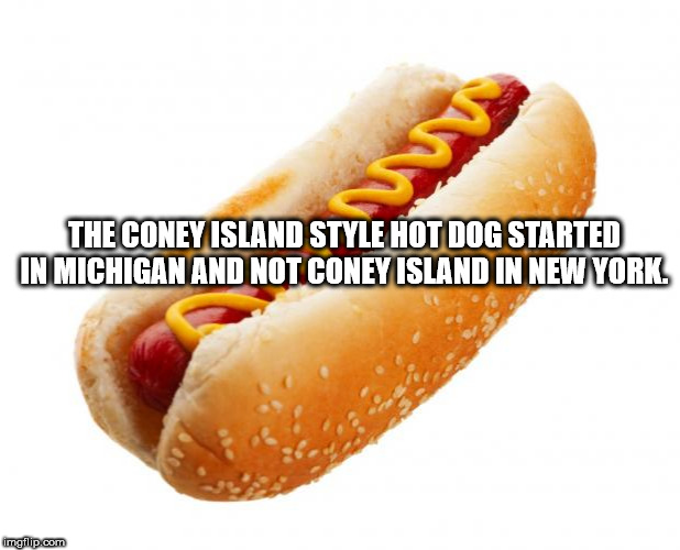 hot dog - The Coney Island Style Hot Dog Started In Michigan And Not Coney Island In New York. imgflip.com