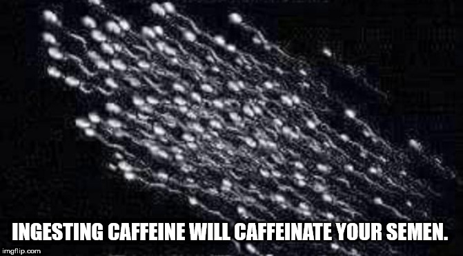 herd mentality quotes - Ingesting Caffeine Will Caffeinate Your Semen. imgflip.com