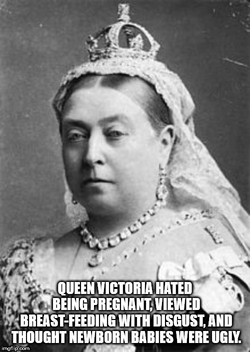 people from the victorian era - Queen Victoria Hated Being Pregnant Viewed BreastFeeding With Disgust, And Thought Newborn Babies Were Ugly. imgflip.com