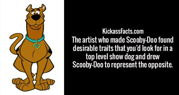 cartoon - KickassFacts.com The artist who made ScoobyDoo found desirable traits that you'd look for in a top level show dog and drew ScoobyDoo to represent the opposite.