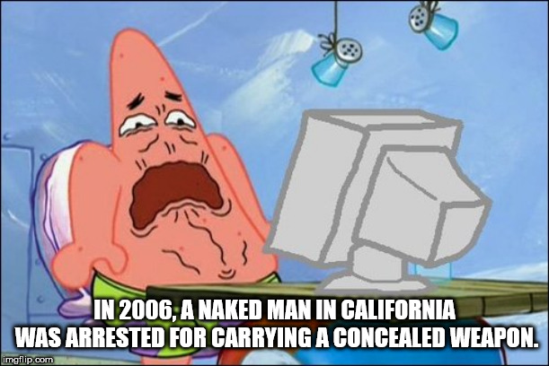 patrick star funny - In 2006, A Naked Man In California Was Arrested For Carrying A Concealed Weapon. imgflip.com