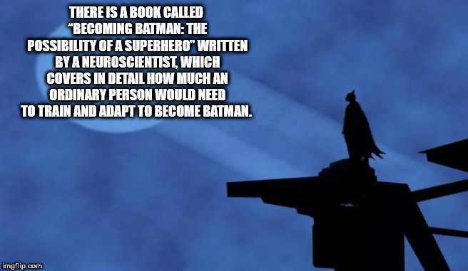 sky - There Is A Book Called Becoming Batman The Possibility Of A Superhero" Written By A Neuroscientist, Which Covers In Detail How Much An Ordinary Person Would Need To Train And Adapt To Become Batman. imgflip.com