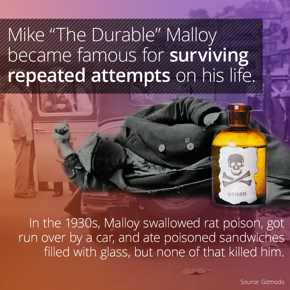 liqueur - Mike "The Durable" Malloy became famous for surviving repeated attempts on his life. poison In the 1930s, Malloy swallowed rat poison, got run over by a car, and ate poisoned sandwiches filled with glass, but none of that killed him. Source Gizm
