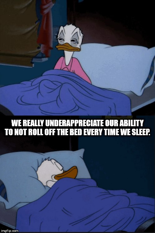 donald duck sleeping meme template - We Really Underappreciate Our Ability To Not Roll Off The Bed Every Time We Sleep. imgflip.com
