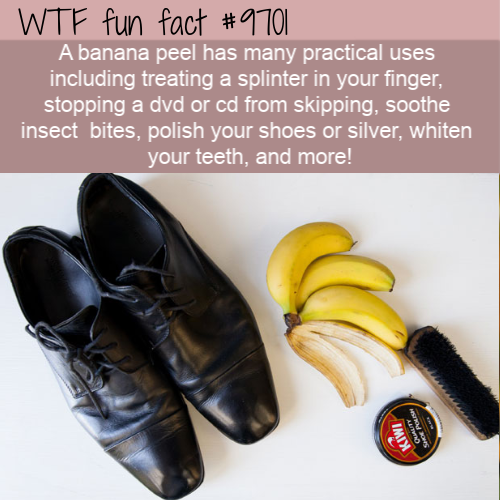 Banana peel - Wtf fun fact A banana peel has many practical uses including treating a splinter in your finger, stopping a dvd or cd from skipping, soothe insect bites, polish your shoes or silver, whiten your teeth, and more! Kiwi