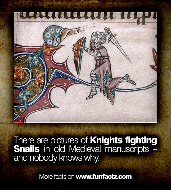 medieval art snails meme - uu se There are pictures of Knights fighting Snails in old Medieval manuscripts and nobody knows why. More facts on