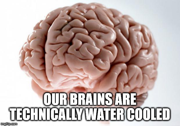 Soak Your Head With These Shower Thoughts