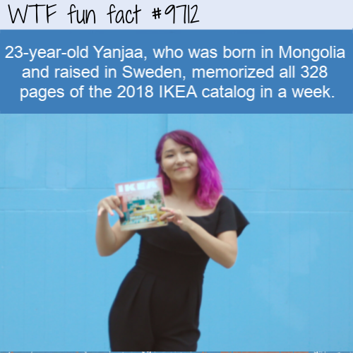 Educate Yourself With Some More Internet Facts