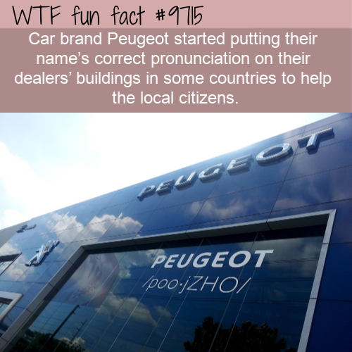 sky - Wtf fun fact Car brand Peugeot started putting their name's correct pronunciation on their dealers' buildings in some countries to help the local citizens. Peugeot poo.jZHO