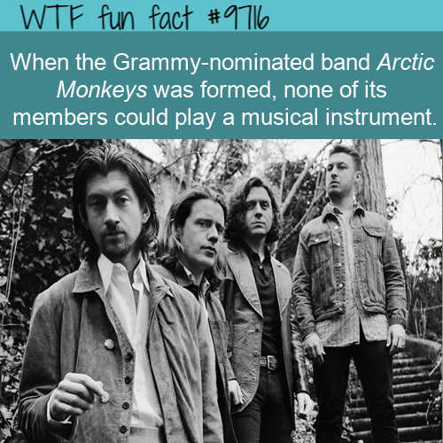 album cover - Wtf fun fact When the Grammynominated band Arctic Monkeys was formed, none of its members could play a musical instrument.