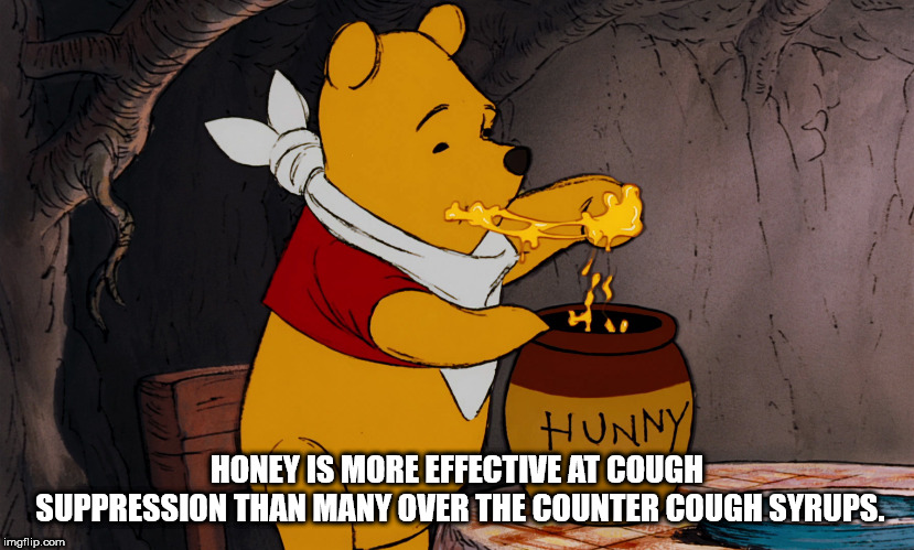 winnie de pooh with honey - Hunny Honey Is More Effective At Cough Suppression Than Many Over The Counter Cough Syrups. imgflip.com