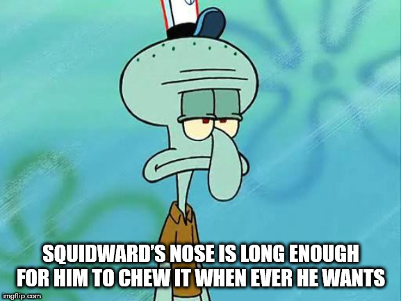 Shower Thoughts - cartoon - Squidward's Nose Is Long Enough For Him To Chew It When Ever He Wants imgflip.com