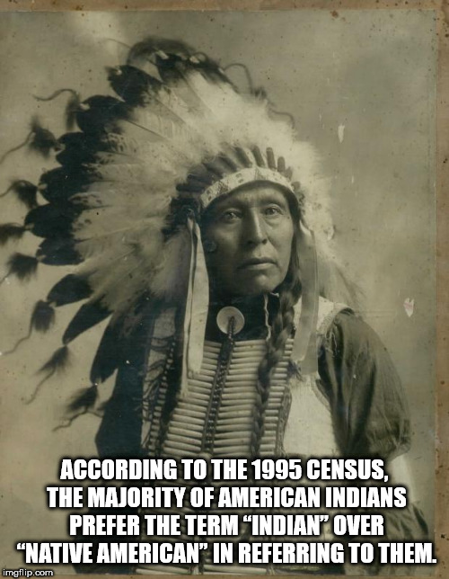 indian chief - According To The 1995 Census. The Majority Of American Indians Prefer The Term