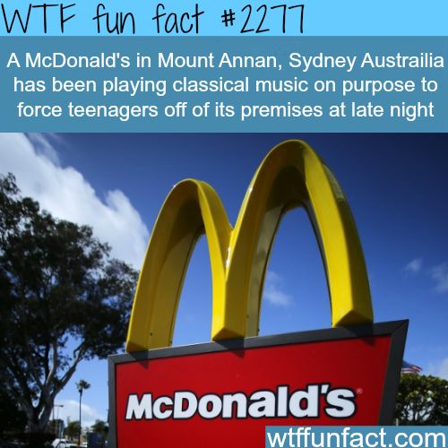 wtf fun fact scary - Wtf fun fact A McDonald's in Mount Annan, Sydney Austrailia has been playing classical music on purpose to force teenagers off of its premises at late night McDonald's wtffunfact.com