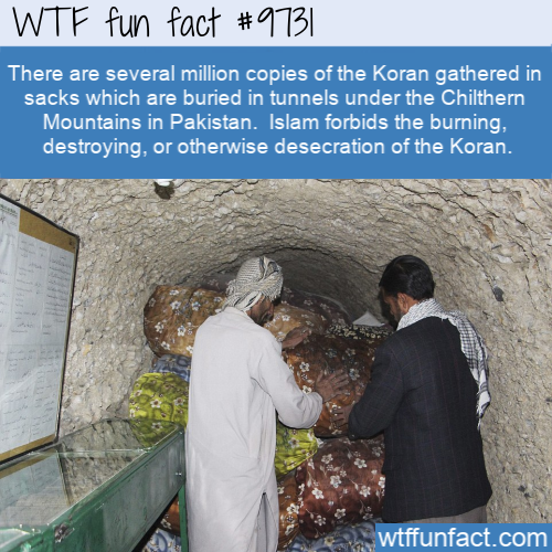 wtf facts islam - Wtf fun fact There are several million copies of the Koran gathered in sacks which are buried in tunnels under the Chilthern Mountains in Pakistan. Islam forbids the burning, destroying, or otherwise desecration of the Koran. wtffunfact.