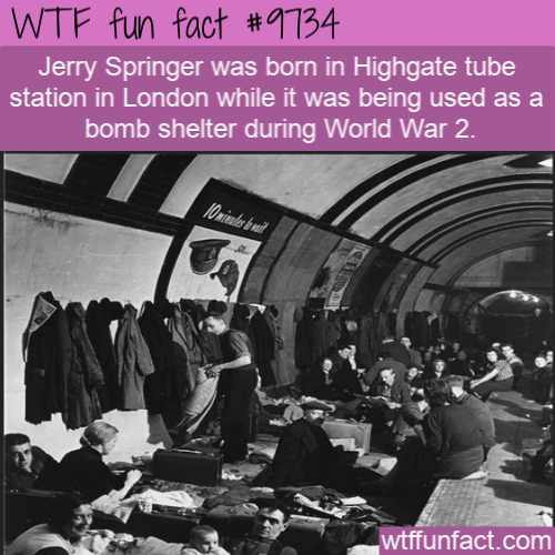 air raid shelters london ww2 - Wtf fun fact Jerry Springer was born in Highgate tube station in London while it was being used as a bomb shelter during World War 2. We wtffunfact.com