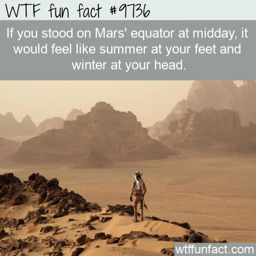 Wtf fun fact If you stood on Mars' equator at midday, it would feel summer at your feet and winter at your head. wtffunfact.com