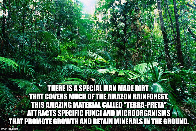 tropical rainforest and desert - There Is A Special Man Made Dirt That Covers Much Of The Amazon Rainforest This Amazing Material Called TerraPreta" Attracts Specific Fungi And Microorganisms That Promote Growth And Retain Minerals In The Ground. imgflip.