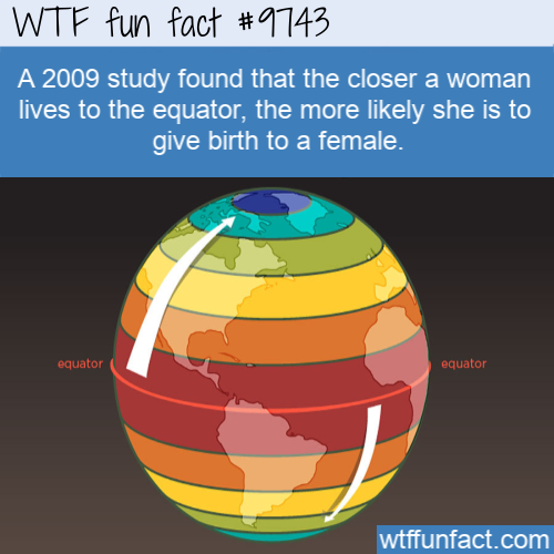 patterns of biodiversity latitudinal gradients - Wtf fun fact A 2009 study found that the closer a woman lives to the equator, the more ly she is to give birth to a female. equator equator wtffunfact.com