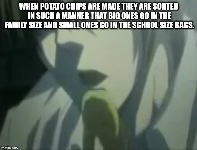 video - When Potato Chips Are Made They Are Sorted In Such A Manner That Big Ones Go In The Family Size And Small Ones Go In The School Size Bags. imgflip.com
