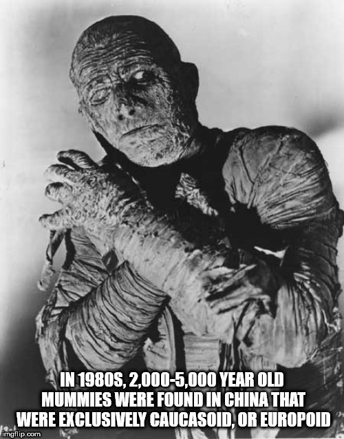original mummy movie - In 1980S. 2.0005,000 Year Old Mummies Were Found In China That Were Exclusively Caucasoid.Or Europoid imgflip.com