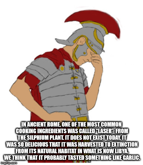roman facepalm meme - In Ancient Rome, One Of The Most Common Cooking Ingredients Was Called "Laser", From The Silphium Plant It Does Not Exist Today. It Was So Delicious That It Was Harvested To Extinction From Its Natural Habitat In What Is Now Libya. W