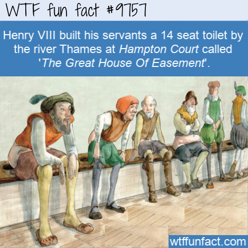 wtf fun fact 9755 - Wtf fun fact Henry Viii built his servants a 14 seat toilet by the river Thames at Hampton Court called 'The Great House Of Easement'. wtffunfact.com