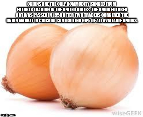 yellow onion - Onions Are The Only Commodity Banned From Futures Trading In The United States. The Onion Futures Act Was Passed In 1958 After Two Traders Cornered The Onion Market In Chicago Controlling 98% Of All Available Onions. imgilip.com wise Geek